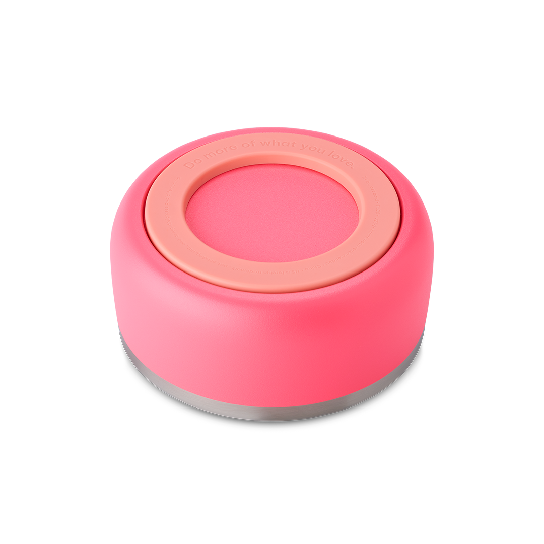 Pet Bowl Hyper Flamingo