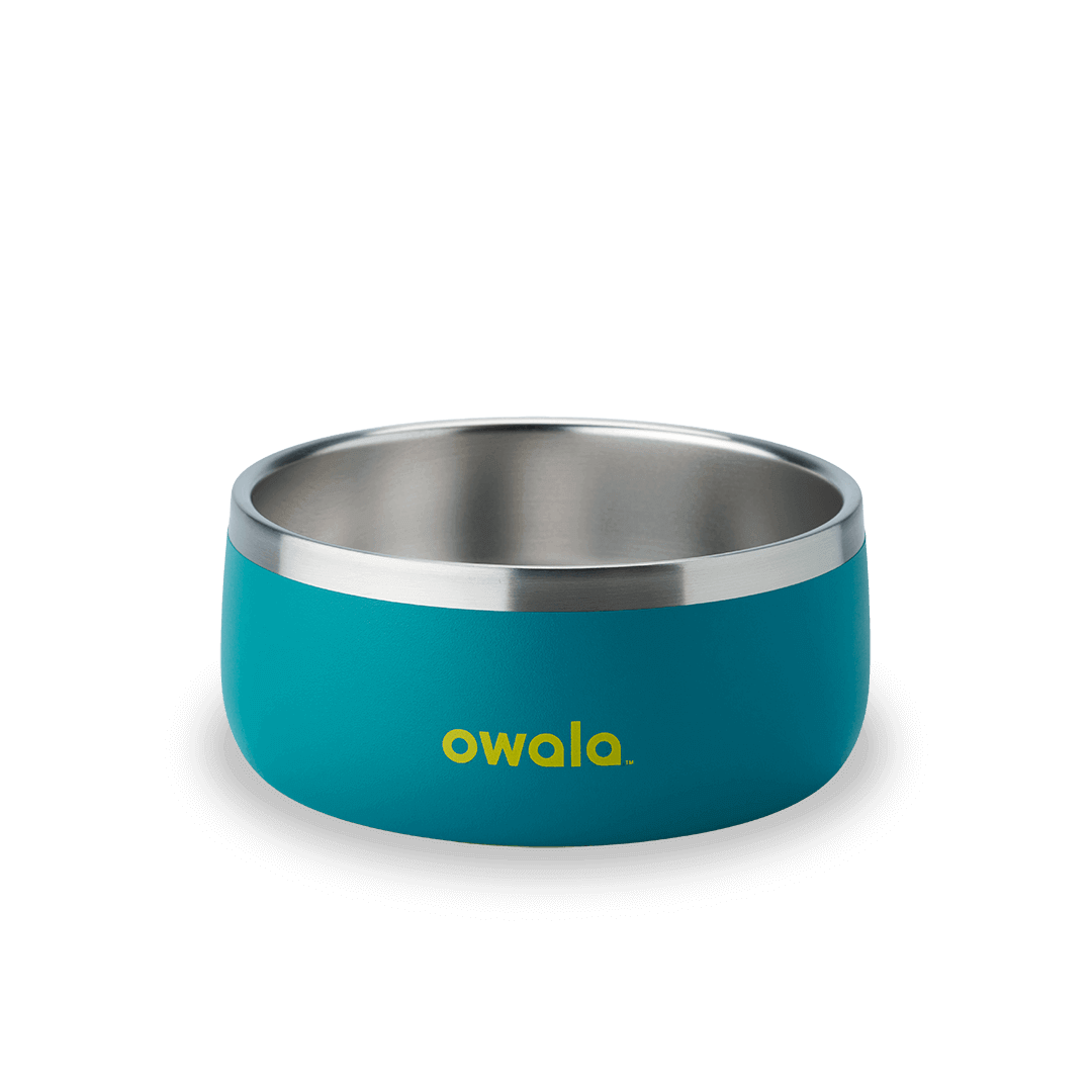 Pet Bowl Turquoise & Caicos